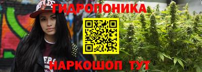 Альфа ПВП Бердск